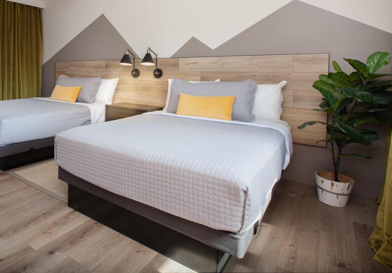 מישיגן סיטי 4411 Inn & Suites מראה חיצוני תמונה