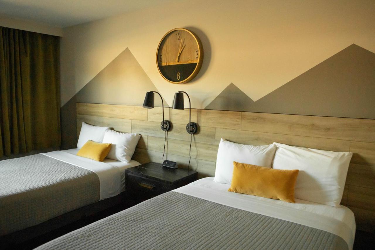 מישיגן סיטי 4411 Inn & Suites מראה חיצוני תמונה